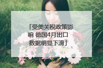 受美关税政策影响 德国4月出口数据明显下滑